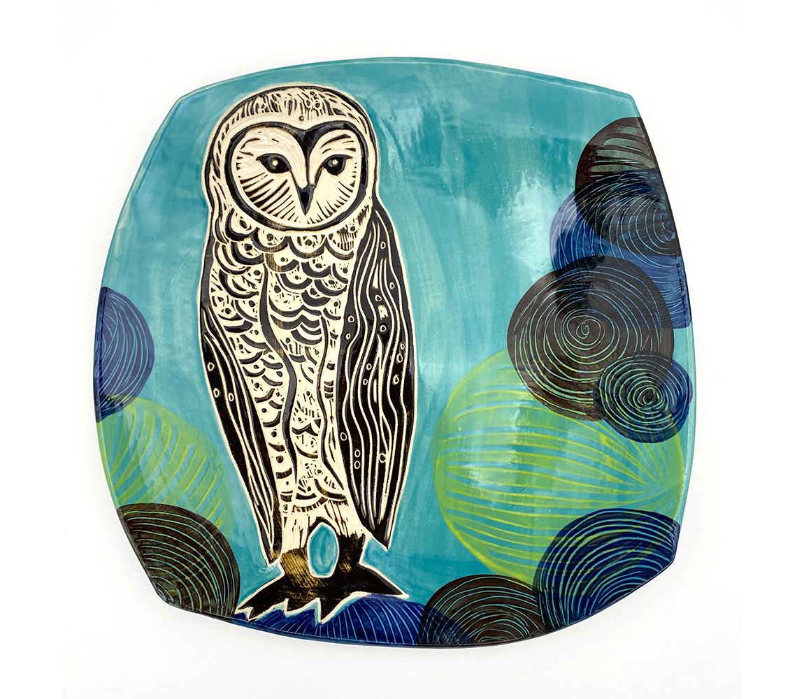 Barn Owl! - Julia Janeway